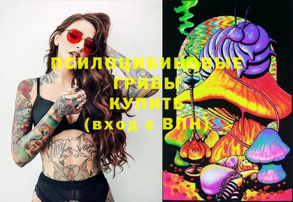 mix Лабытнанги