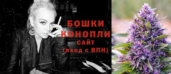 СК Краснослободск