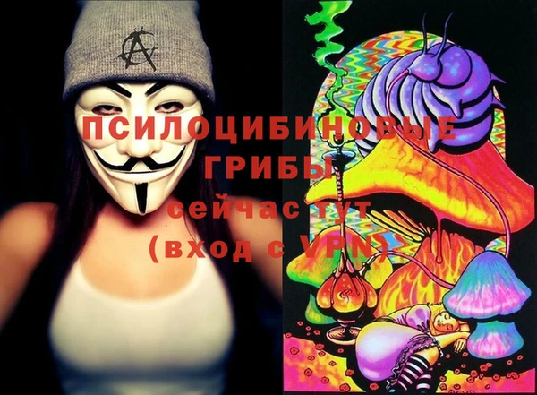дурь Краснотурьинск